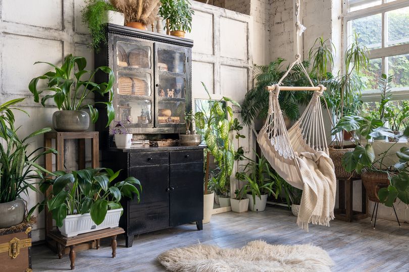 How To Add Natural Decor Elements To Your Interiors Senior Living Tips