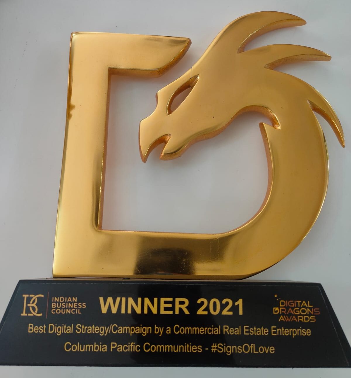 Digital Dragon Awards 2021