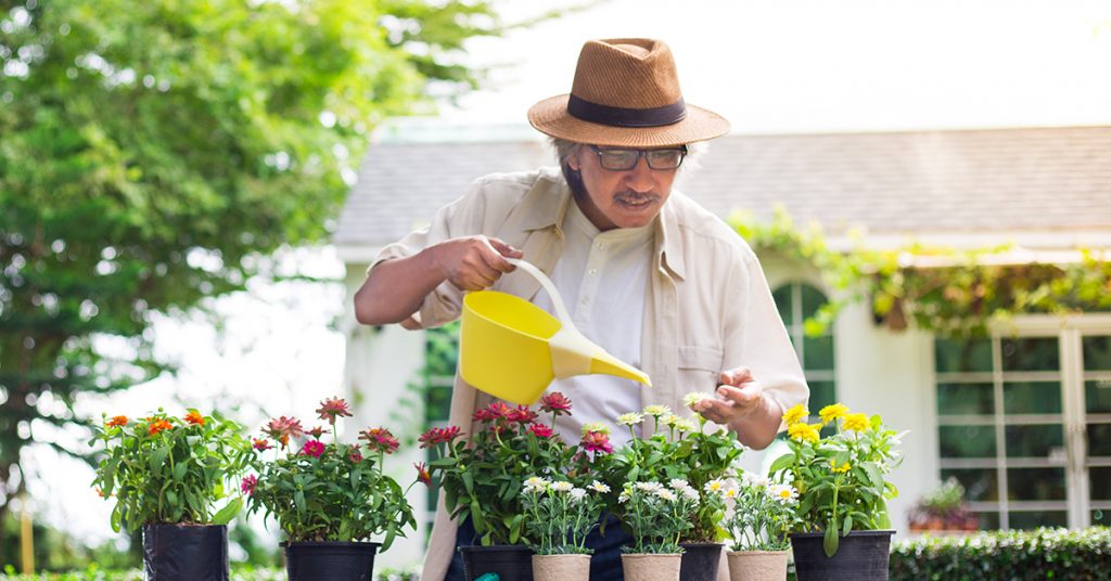 Easy gardening tips for seniors