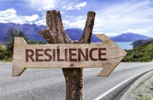 resilience and adaptability